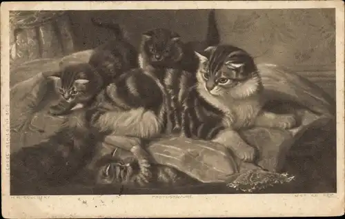 Künstler Ak Katzen, Katzenmutter mit jungen Kätzchen