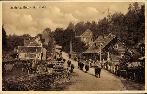 Ak Schierke Wernigerode im Harz, Dorfstraße, Kühe
