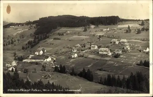 Ak Falkau Feldberg im Schwarzwald, Totalansicht