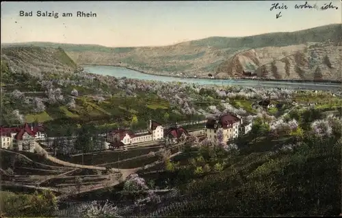 Ak Bad Salzig Boppard am Rhein, Panorama