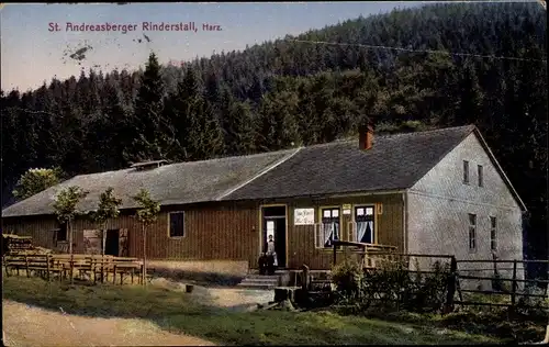 Ak Sankt Andreasberg Braunlage im Oberharz, Rinderstall