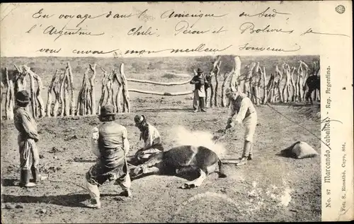 Ak Argentinien, Pferd wird gebrandmarkt