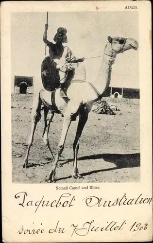 Ak Aden Jemen, Somalisches Kamel und Reiter