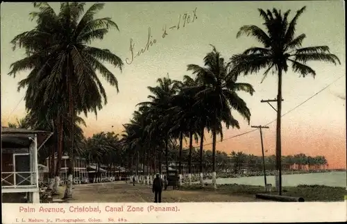 Ak Panama, Palm Avenue, Cristobal, Kanalzone