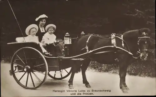 Ak Prinzessin Victoria Luise von Preußen, Herzogin von Braunschweig mit Söhnen, Kutsche