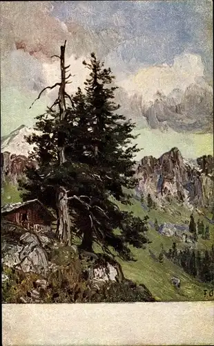 Künstler Ak Bayerlein, Fritz, Gebirgslandschaft mit Holzhütte und Nadelbaum