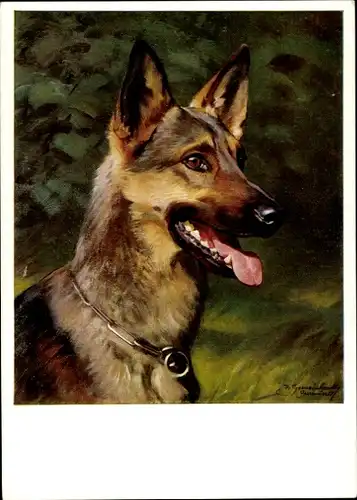 Künstler Ak Gemeinhardt H., Schäferhund, Hundeportrait