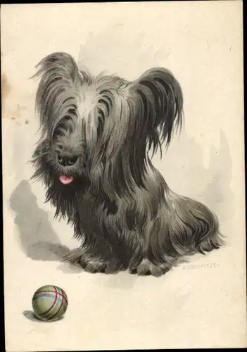 Künstler Ak Dermitzel E., Skye Terrier spielt mit Ball