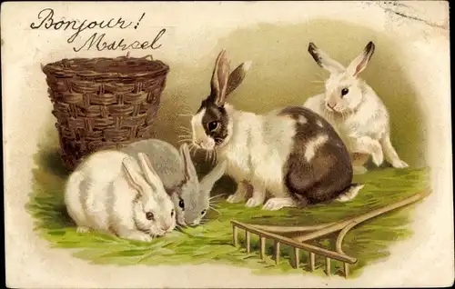 Litho Kaninchen essen Gras, Harke, Korb