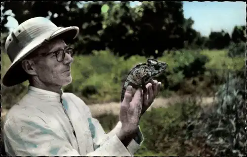 Ak Missionar mit Chamäleon, Fauna, Tierwelt