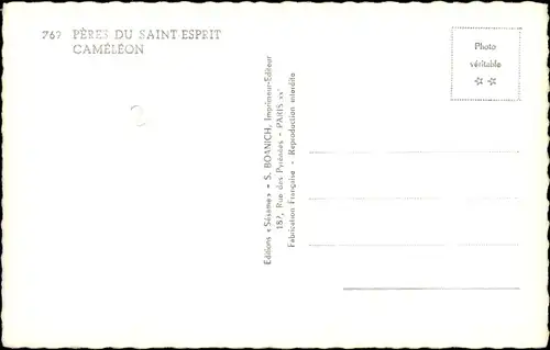 Ak Missionar mit Chamäleon, Fauna, Tierwelt