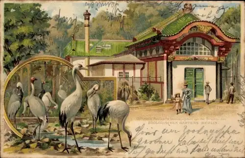 Litho Berlin Zoologischer Garten, Stelzvogelhaus, Schreitvögel