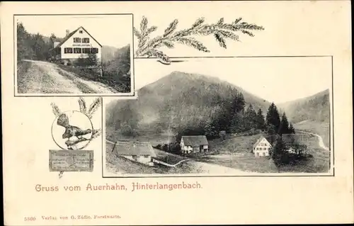 Ak Hinterlangenbach Baiersbronn im Schwarzwald, Auerhahn, Gasthaus, Gesamtansicht