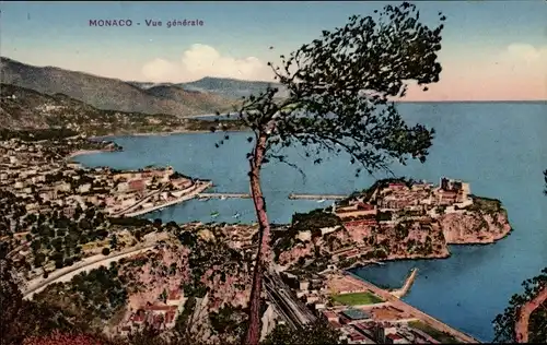 Ak Monaco, Panorama