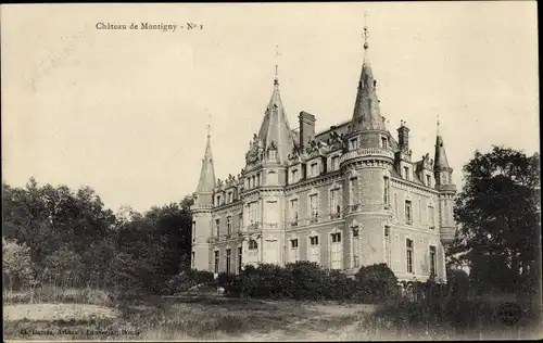 Ak Montigny sur Aube Côte-d’Or, Chateau de Montigny