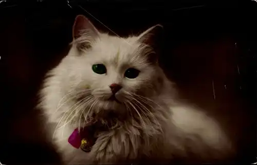 Ak Weiße langhaarige Katze, Schleife, Glocke