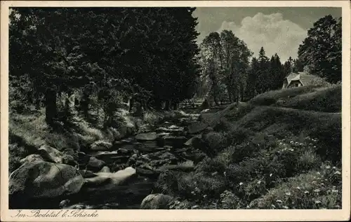 Ak Schierke Wernigerode im Harz, Im Bodetal