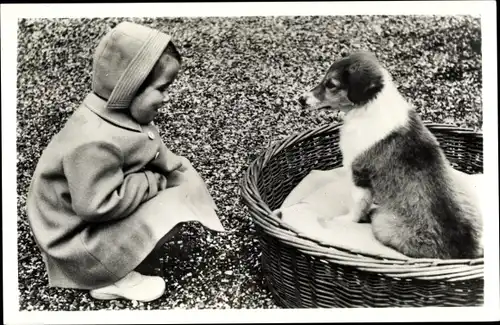 Ak Prinzessin Marijke der Niederlande, Kinderportrait, Hundewelpe in einem Korb