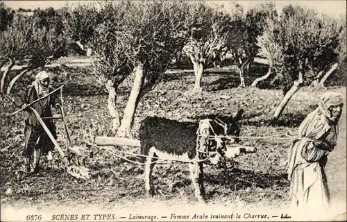 Ak Arabische Bauern arbeiten mit dem Pflug, Esel, Landwirtschaft, Maghreb