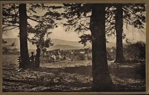 Ak Sankt Andreasberg Braunlage im Oberharz, in den Bergen, Teilansicht