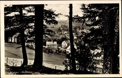 Ak Grünhain im Erzgebirge Sachsen, Teilansicht