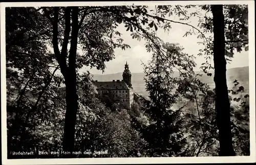 Ak Rudolstadt in Thüringen, Schloss