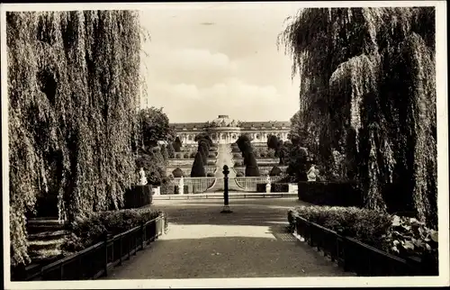 Ak Potsdam, Schloss Sanssouci, Park