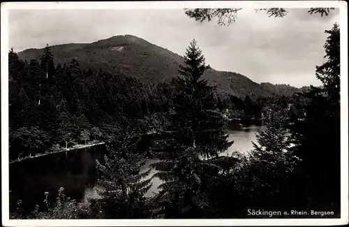 Ak Bad Säckingen am Hochrhein, Bergsee, Panorama