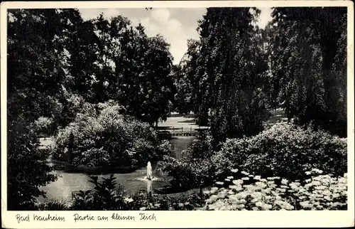 Ak Bad Nauheim in Hessen, kleiner Teich, Springbrunnen