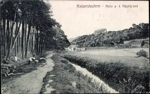 Ak Kaiserslautern in Rheinland Pfalz, Hagelgrund