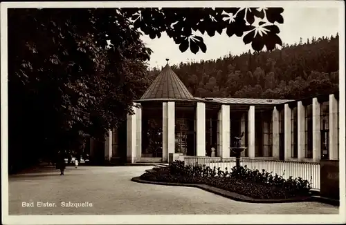 Ak Bad Elster im Vogtland, Salzquelle