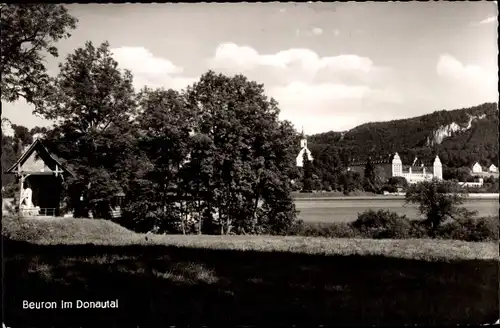 Ak Beuron an der Donau Württemberg, Wiese, Gebäude