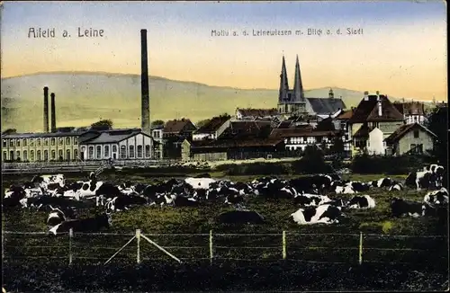 Ak Alfeld an der Leine, Motiv a. d. Leinewiesen mit Stadtblick, Kühe