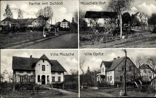 Ak Ulbersdorf Kreis Goldberg Schlesien, Villa Opitz, Villa Musche, Schloss, Musche's Gut