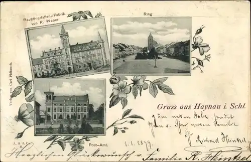 Ak Chojnów Haynau Schlesien, Ring, Postamt, Raubtierfallen-Fabrik
