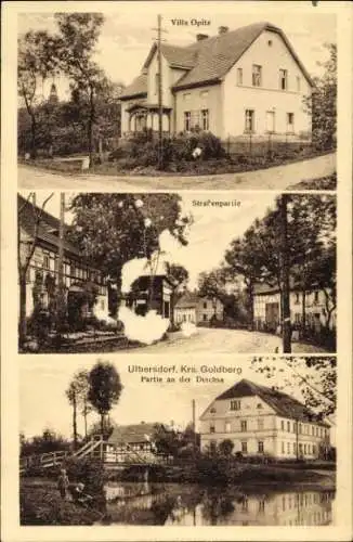 Ak Olbrachcice Olbersdorf Schlesien, Villa Opitz, Deichsapartie, Straßenpartie