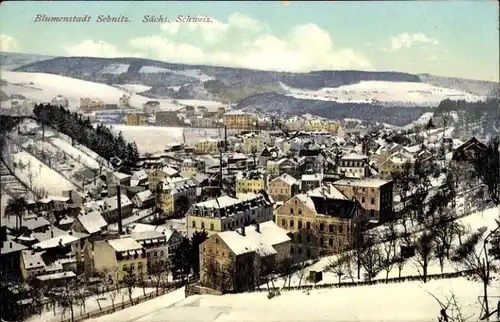 Ak Sebnitz in Sachsen, Winterpanorama