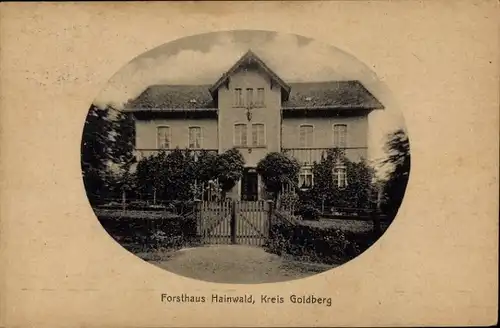 Ak Złotoryja Goldberg Schlesien, Forsthaus Hainwald
