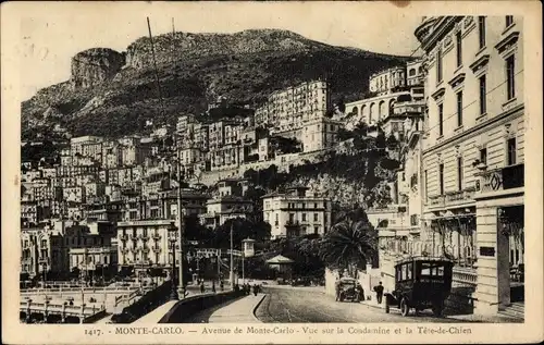 Ak Monte Carlo Monaco, Avenue de Monte Carlo, La Condamine, Tete-de-Chien