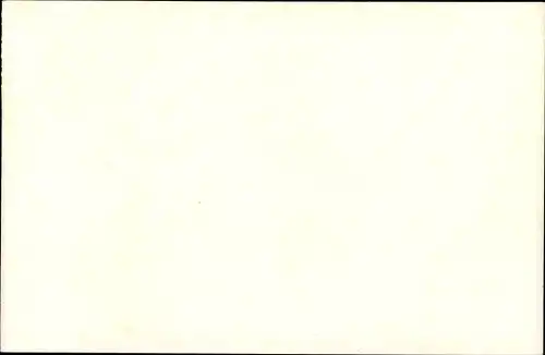 Ak Angora-Katze, Tierportrait