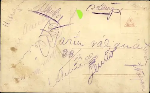 Ak Junge Katze, Tierportrait