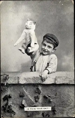 Ak Ist das deine Katze? Junge an einer Mauer hebt Katze hoch