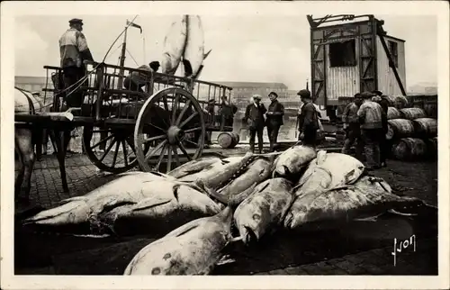 Ak Boulogne sur Mer Pas de Calais, Umladung von Thunfisch