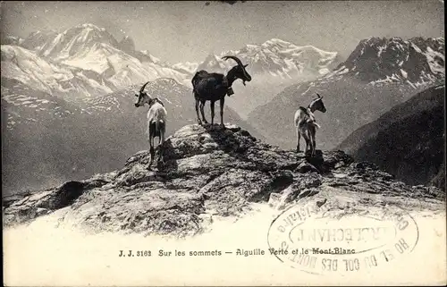 Ak Haute Savoie, Auf den Gipfeln, Aiguille Verte und Mont Blanc