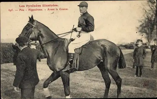 Ak Pau Pyrénées-Atlantiques, Rennpferd, Hippodrome