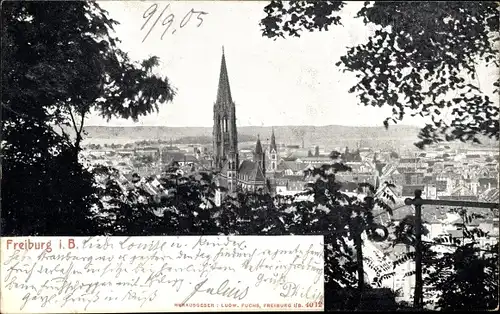 Ak Freiburg im Breisgau, Panorama