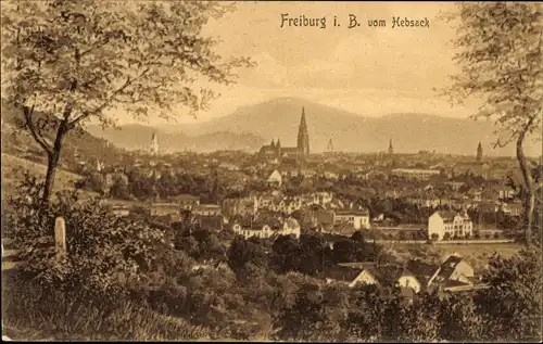 Ak Freiburg im Breisgau, Gesamtansicht, Hebsack