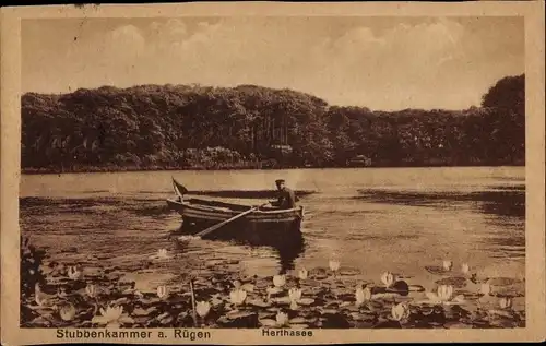 Ak Stubbenkammer Sassnitz auf Rügen, Herthasee