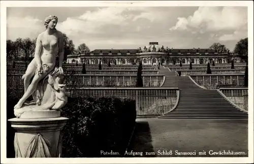 Ak Potsdam, Schloss Sanssouci, Aufgang, Gewächshäuser, Denkmal