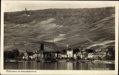 Ak Rüdesheim am Rhein, Panorama, Niederwald Nationaldenkmal